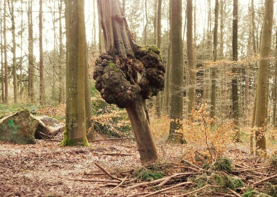 Le Chant De L Aisne Érezée Exteriér fotografie