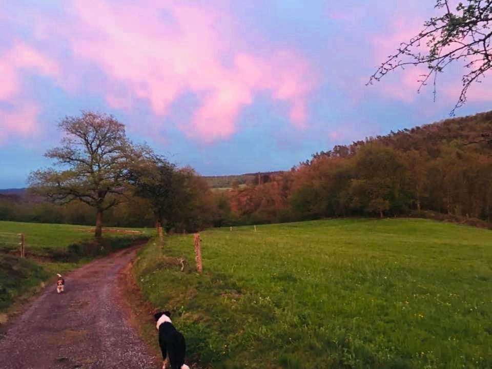 Le Chant De L Aisne Érezée Exteriér fotografie